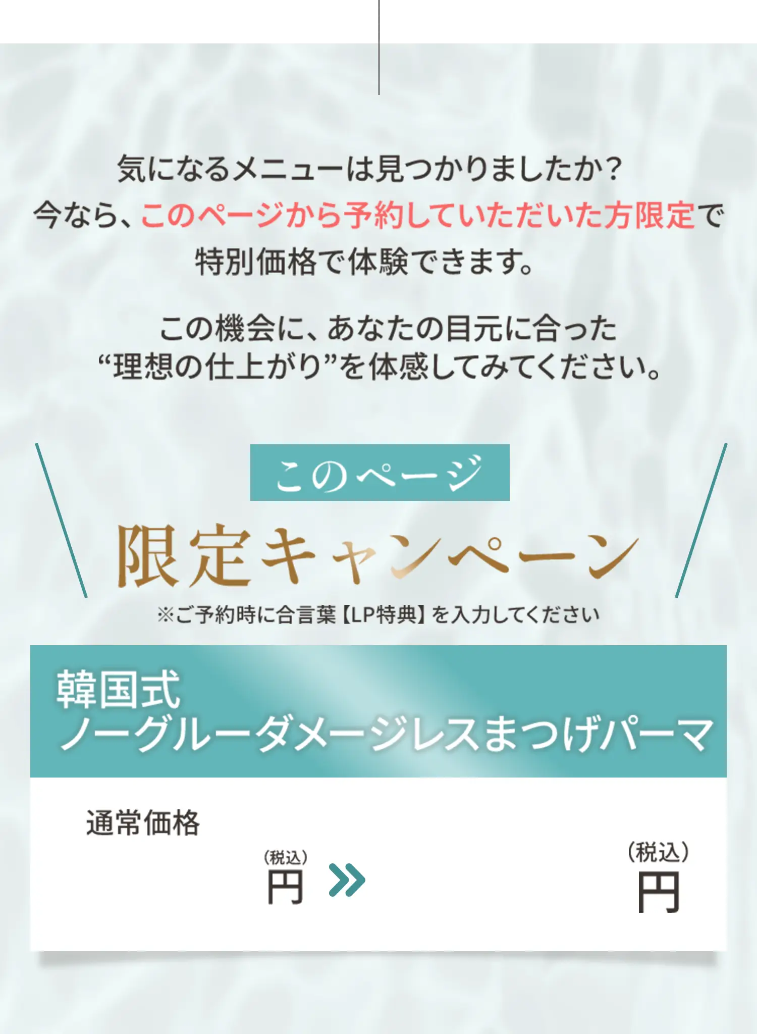 このページ限定メニュー